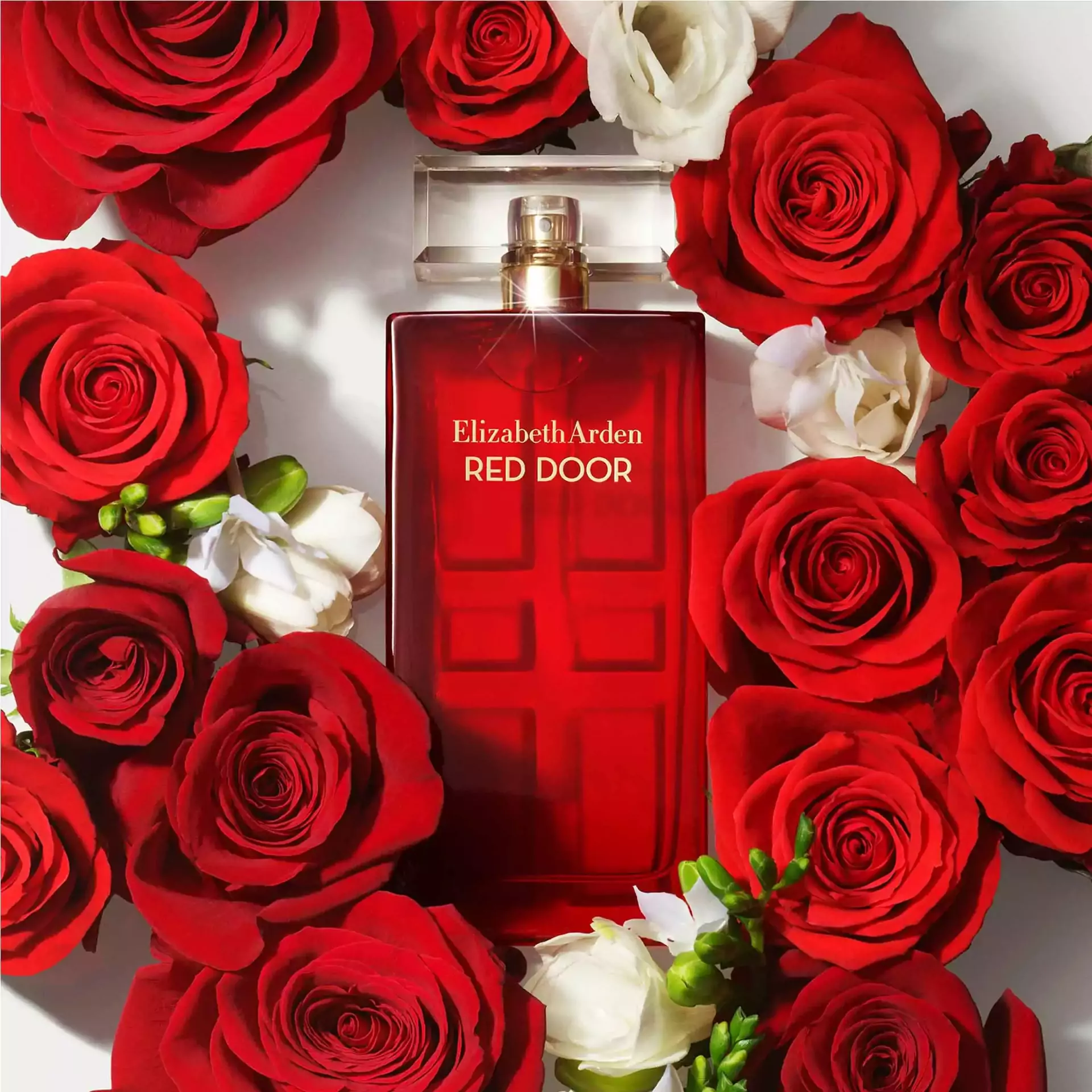 Red Door Eau de Parfum Spray - Image 7